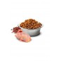 Quinoa Skin&coat Bıldırcın Ve Hindistan Cevizli Adult Mini Köpek Maması 2,5 Kg Quinoa Skin&coat Bıldırcın Ve Hindistan Cevizli Adult Mini Köpek Maması 2,5 Kg