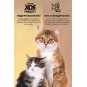 Plus Mother & Babycat Kuzu Etli 1.5 Kg Yavru Kedi Maması Plus Mother & Babycat Kuzu Etli 1.5 Kg Yavru Kedi Maması