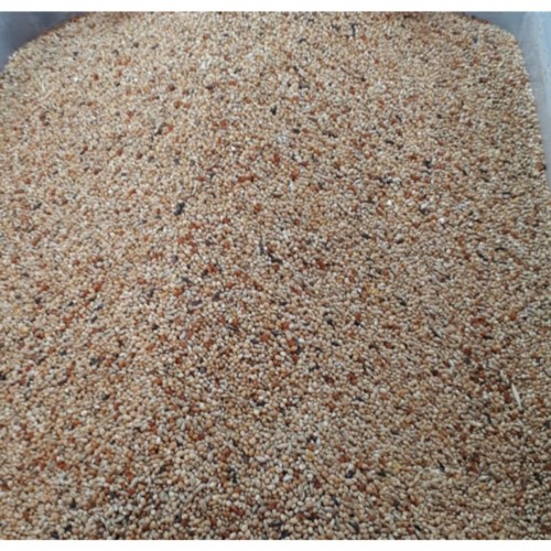 1 Kg Ithal Bülbül Yemi - Versele Laga - Kuş Yemi - Yem