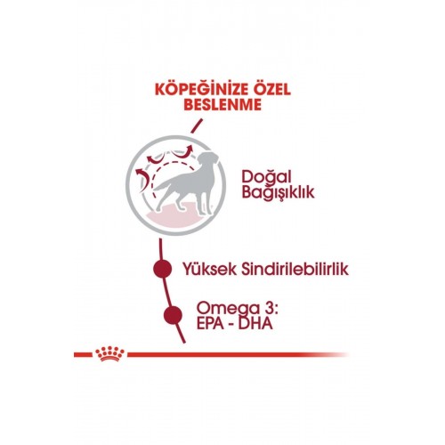 Medium Adult Orta Irk Yetişkin Köpek Maması 15 kg Medium Adult Orta Irk Yetişkin Köpek Maması 15 kg