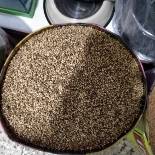 Makarna Buğdayı 10 Kilo Makarna Buğdayı 10 Kilo