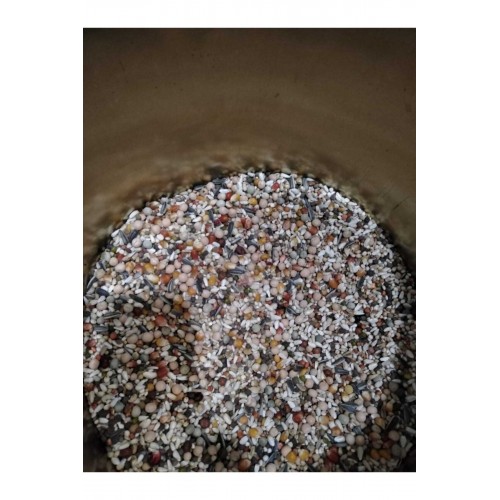 Güvercin Yemi Buğdaysız Atom 10 Kg Güvercin Yemi Buğdaysız Atom 10 Kg