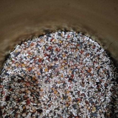 Güvercin Yemi Buğdaysız Atom 10 Kg