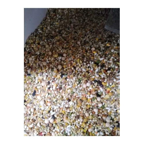 Güvercin Yemi Buğdaysız 10 Kg