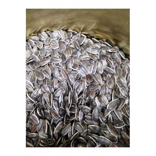 Dakoto Papağan Çekirdeği 3 Kg Dakoto Papağan Çekirdeği 3 Kg