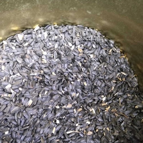 Siyah Çekirdek 3 Kg