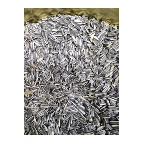 Paraket Çekirdek 3 Kg Paraket Çekirdek 3 Kg