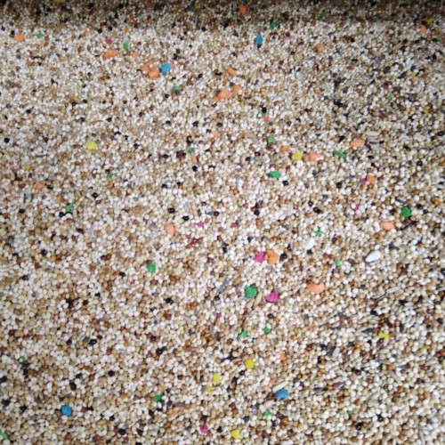 Muhabbet Yemi 5 Kg Muhabbet Yemi 5 Kg