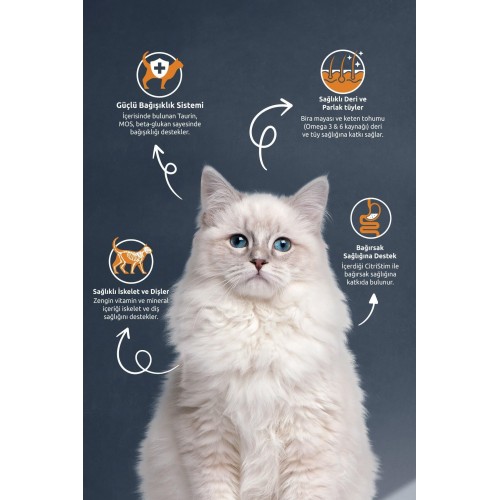 Kısırlaştırılmış Yetişkin Kedi Maması 2 Kg Kısırlaştırılmış Yetişkin Kedi Maması 2 Kg