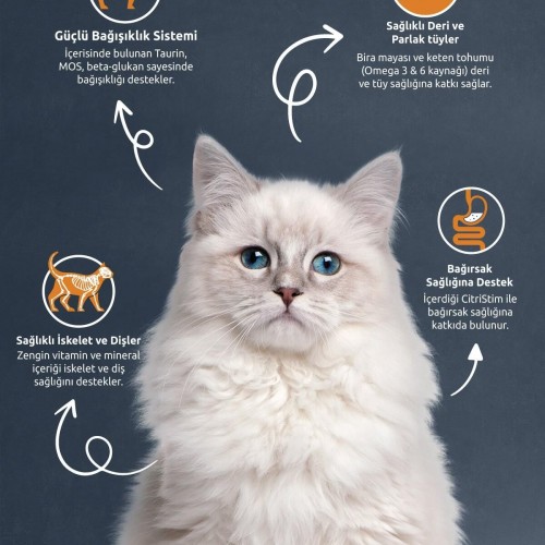 Kısırlaştırılmış Yetişkin Kedi Maması 2 Kg