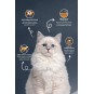 Kısırlaştırılmış Yetişkin Kedi Maması 2 Kg Kısırlaştırılmış Yetişkin Kedi Maması 2 Kg