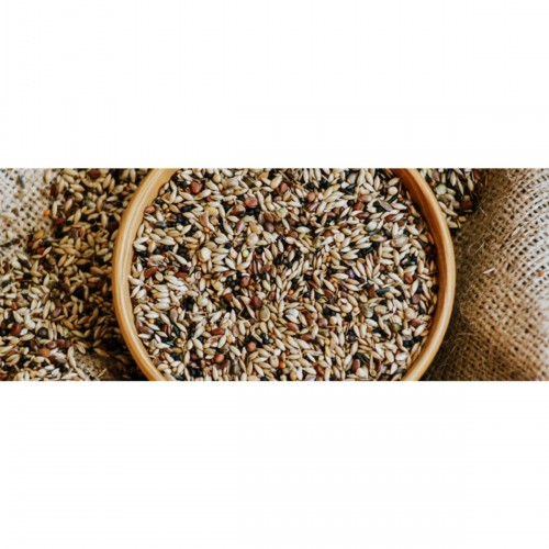 Doğa Kuşu (saka,florya,finch) Yemi 1 Kg Doğa Kuşu (saka,florya,finch) Yemi 1 Kg