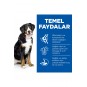 SCIENCE PLAN Kuzulu ve Pirinçli Büyük Irk Yetişkin Köpek Maması 14 Kg SCIENCE PLAN Kuzulu ve Pirinçli Büyük Irk Yetişkin Köpek Maması 14 Kg