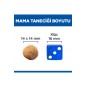 SCIENCE PLAN Kuzulu ve Pirinçli Büyük Irk Yetişkin Köpek Maması 14 Kg SCIENCE PLAN Kuzulu ve Pirinçli Büyük Irk Yetişkin Köpek Maması 14 Kg
