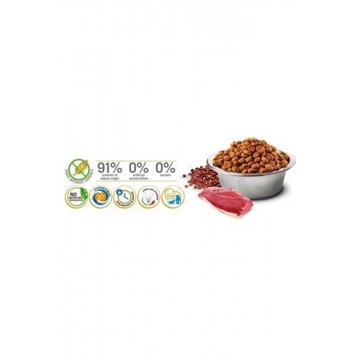 ND Quinoa Mini Ördek Ve Brokoli Yetişkin Kısırlaştırılmış Köpek Maması 2.5 Kg ND Quinoa Mini Ördek Ve Brokoli Yetişkin Kısırlaştırılmış Köpek Maması 2.5 Kg