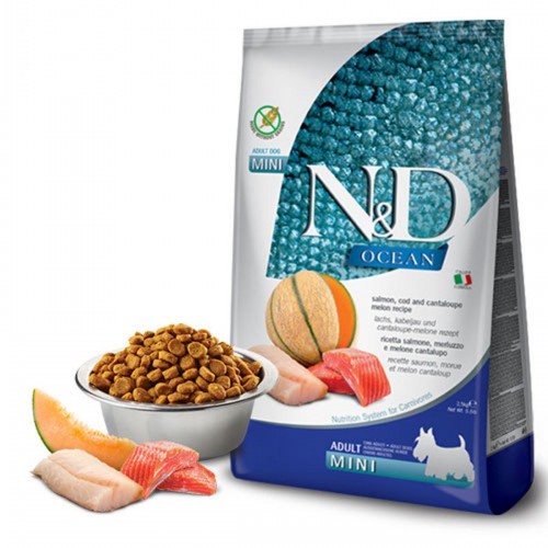 Ocean Somonlu Morina Balıklı Ve Kavunlu Küçük Irk Tahılsız Yetişkin Köpek Maması 2,5 Kg