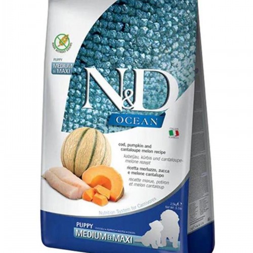 Nd Dog Ocean Puppy Med/maxi Morina Balıklı&kavun Köpek 2.5 Kg