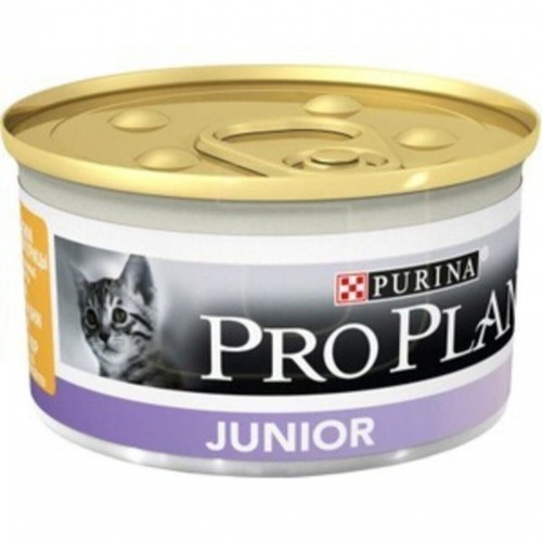 Proplan Kedi Yaş Maması