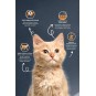 Kitten Tavuk Etli 2 Kg Yavru Kedi Maması Kitten Tavuk Etli 2 Kg Yavru Kedi Maması