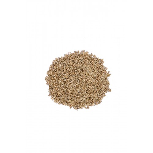 Sade Kanarya Yemi (aspur) 1 Kg Sade Kanarya Yemi (aspur) 1 Kg