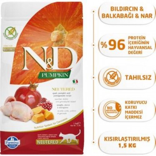Pumpkin Tahılsız Kuzu & Yaban Mersinli Kısırlaştırılmış Yetişkin Kedi Maması 1,5 Kg Pumpkin Tahılsız Kuzu & Yaban Mersinli Kısırlaştırılmış Yetişkin Kedi Maması 1,5 Kg