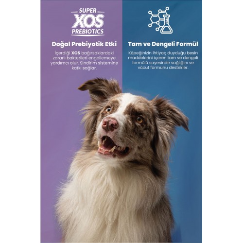Plus Adult Maxi Kuzu Ve Pirinçli Kuru Köpek Maması 18 Kg Plus Adult Maxi Kuzu Ve Pirinçli Kuru Köpek Maması 18 Kg