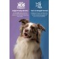 Plus Adult Maxi Kuzu Ve Pirinçli Kuru Köpek Maması 18 Kg Plus Adult Maxi Kuzu Ve Pirinçli Kuru Köpek Maması 18 Kg