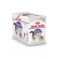 Royal Canın Sterilised Pounch Yaş Mama 12x85gr Royal Canın Sterilised Pounch Yaş Mama 12x85gr