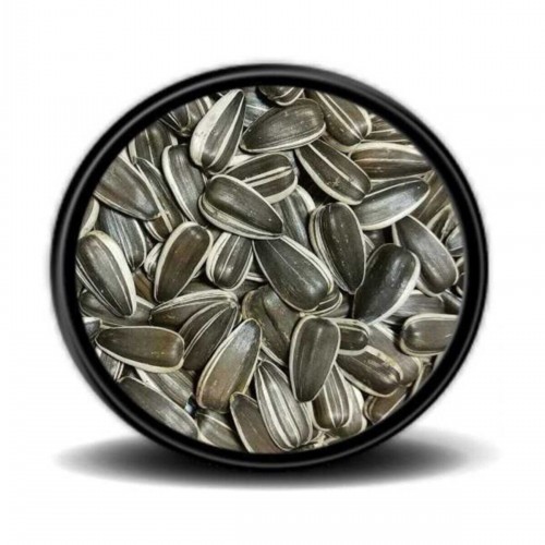 Dakota Çekirdek Papağan Yemi 1 Kg Dakota Çekirdek Papağan Yemi 1 Kg