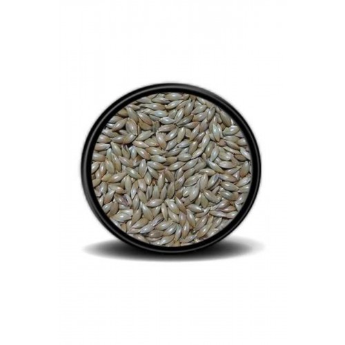 Sade Kanarya Yemi (ASPUR)1 Kg Sade Kanarya Yemi (ASPUR)1 Kg