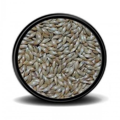 Sade Kanarya Yemi (ASPUR)1 Kg