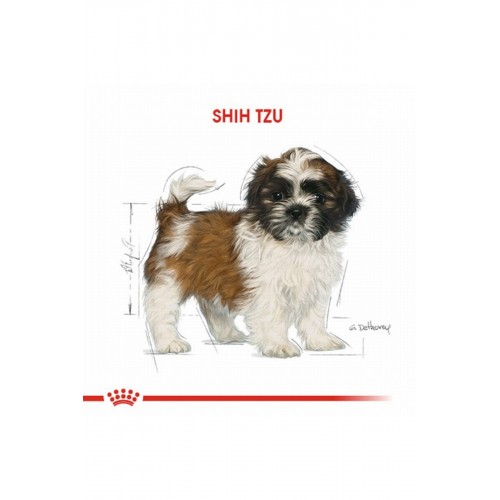 Shih Tzu Puppy Yavru Köpek Maması 1,5 Kg Shih Tzu Puppy Yavru Köpek Maması 1,5 Kg