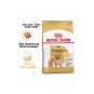 Pomeranian Yetişkin Köpek Maması 1,5kg Pomeranian Yetişkin Köpek Maması 1,5kg