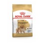 Pomeranian Yetişkin Köpek Maması 1,5kg Pomeranian Yetişkin Köpek Maması 1,5kg