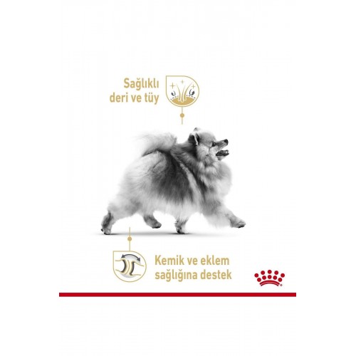 Pomeranian Yetişkin Köpek Maması 1,5kg Pomeranian Yetişkin Köpek Maması 1,5kg