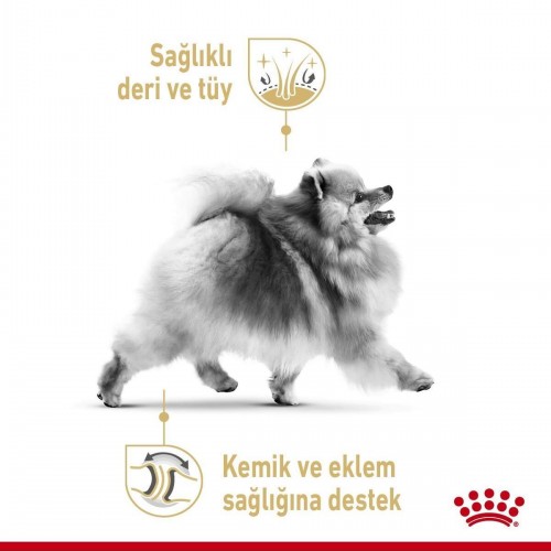 Pomeranian Yetişkin Köpek Maması 1,5kg
