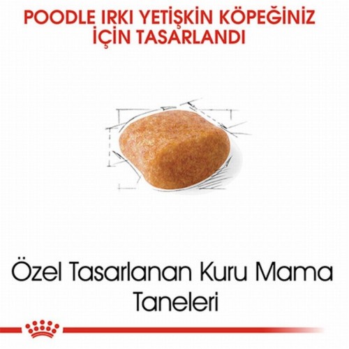 Poodle Adult Yetişkin Köpek Maması 3 Kg