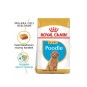 Dog Bhn Poodle Junior Köpek Maması 3 Kg Dog Bhn Poodle Junior Köpek Maması 3 Kg