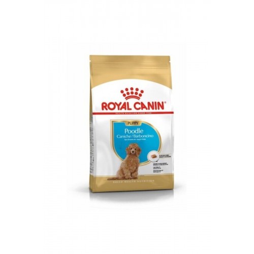 Dog Bhn Poodle Junior Köpek Maması 3 Kg Dog Bhn Poodle Junior Köpek Maması 3 Kg