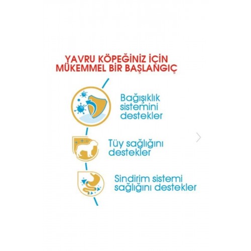 Dog Bhn Poodle Junior Köpek Maması 3 Kg Dog Bhn Poodle Junior Köpek Maması 3 Kg
