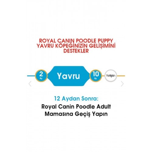 Dog Bhn Poodle Junior Köpek Maması 3 Kg Dog Bhn Poodle Junior Köpek Maması 3 Kg