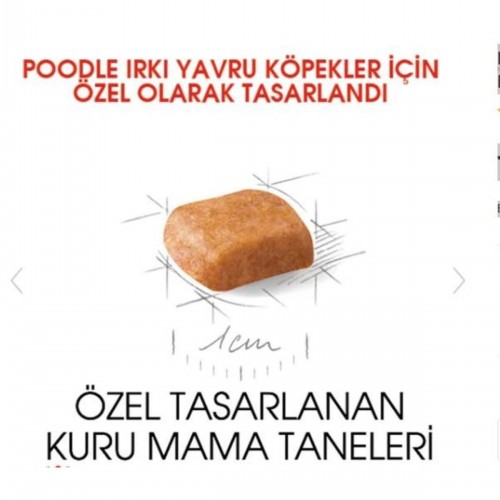 Dog Bhn Poodle Junior Köpek Maması 3 Kg