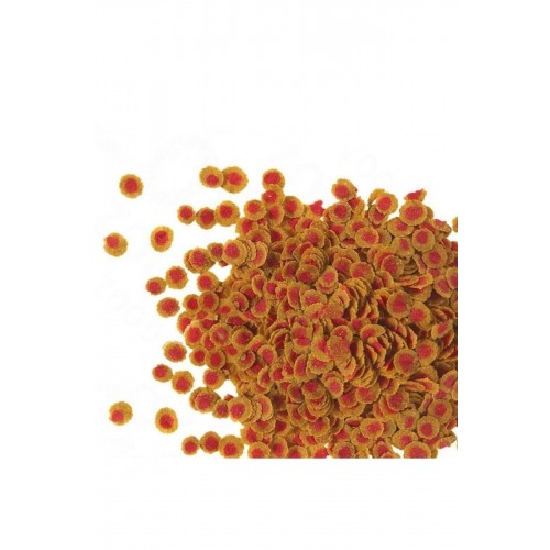 Pro Colour 100 gr Balık Yemi