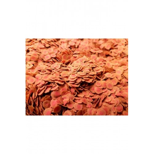 Pro Colour 100 gr Balık Yemi