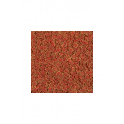 Pro Colour 100 gr Balık Yemi