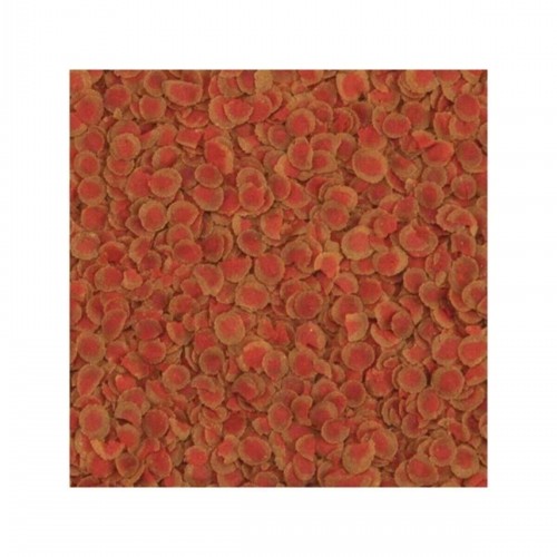 Pro Colour 100 gr Balık Yemi