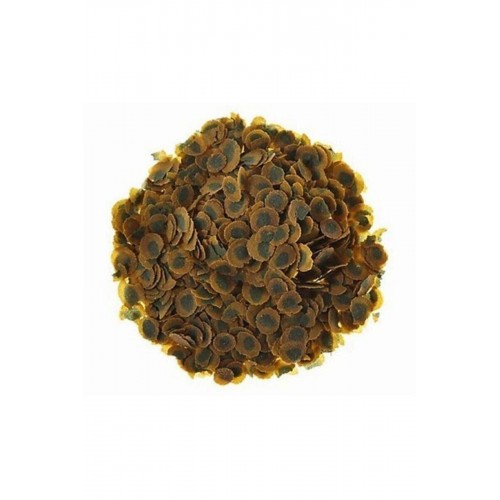 Pro Algae 100 Gram Bitkisel Balık Yemi Pro Algae 100 Gram Bitkisel Balık Yemi