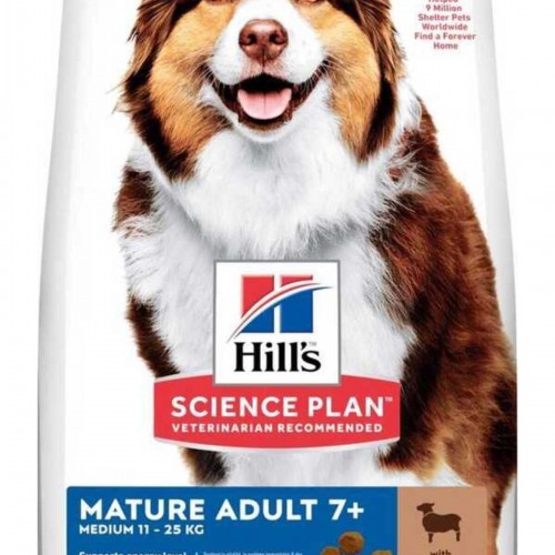 Mature Adult 7 Kuzu Etli Yaşlı Köpek Maması 2,5 Kg