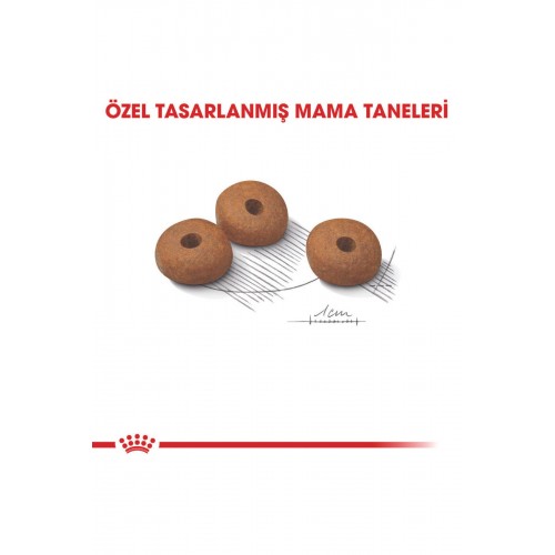 Light Weight Diyet Kedi Maması 1,5kg Light Weight Diyet Kedi Maması 1,5kg