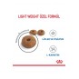 Light Weight Care Diyet Kedi Maması 8kg Light Weight Care Diyet Kedi Maması 8kg